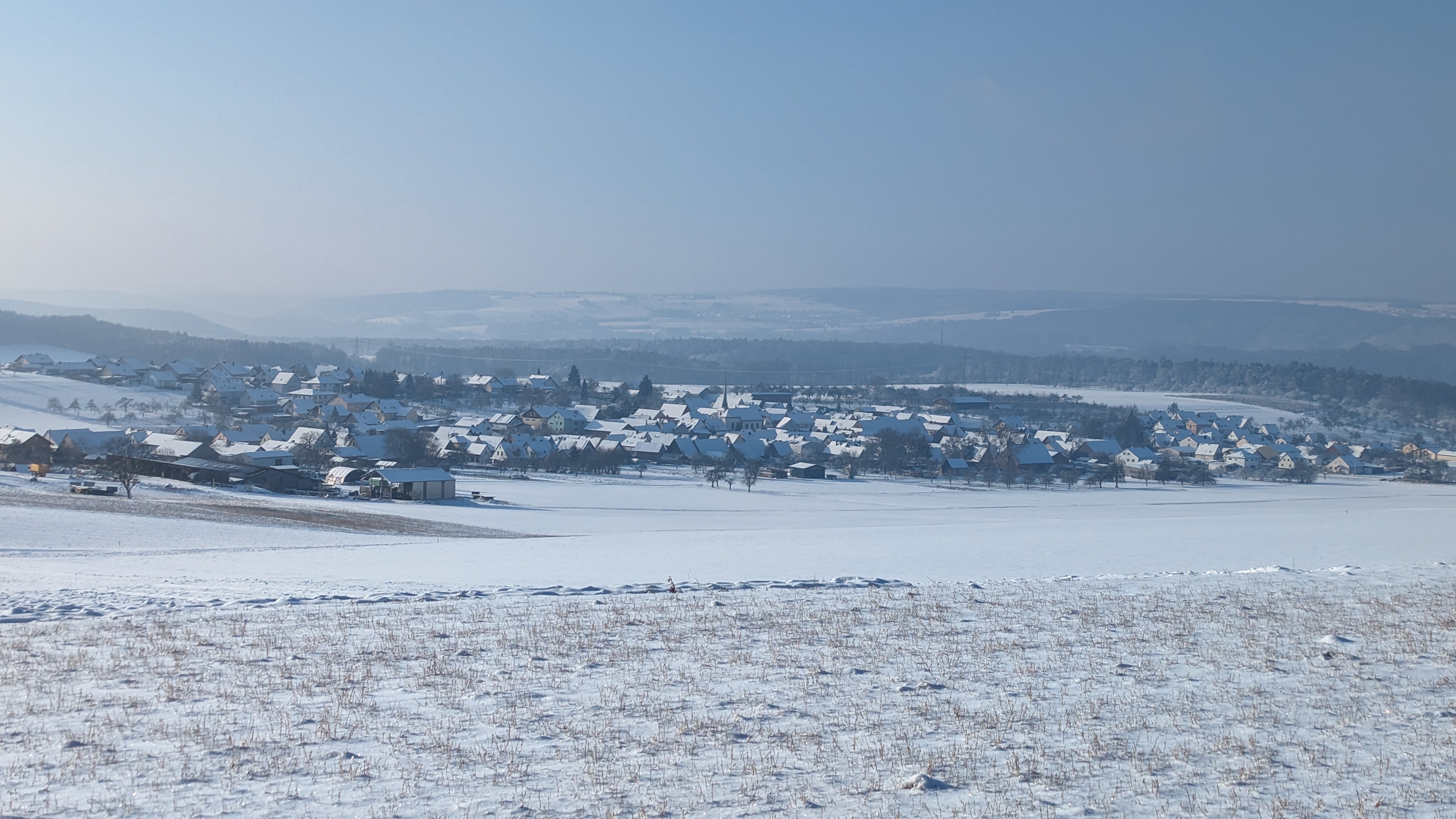 Roden im Schnee 01.2024