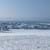 Roden im Schnee 01.2024